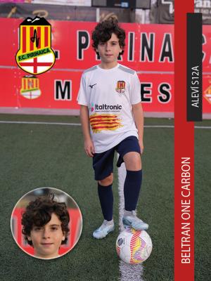 Img deportista BELTRAN
